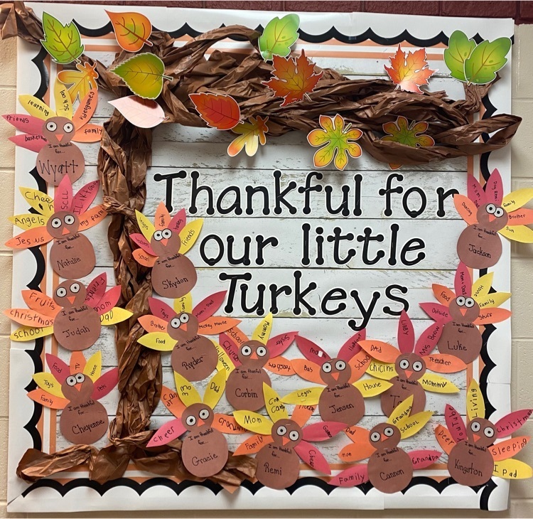thankful turkeys